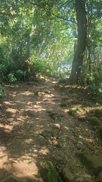 2026-0114溪州山小百岳2984884