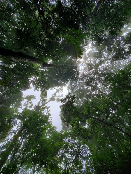 小百岳-馬那邦山1082614