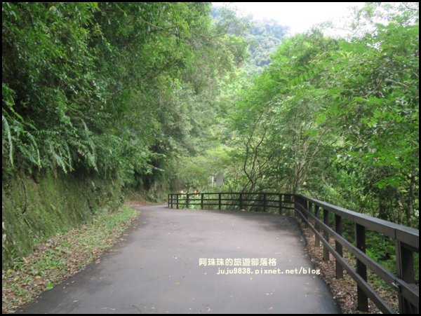 烏來內洞國家森林遊樂區觀瀑步道618588