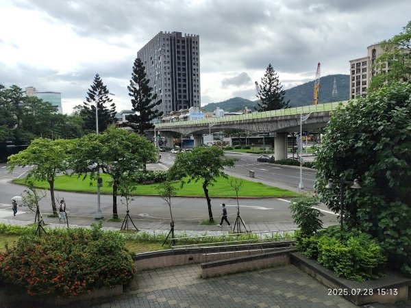 臺大舟山路、大港墘公園、成功高中【臺北健走趣】2848156