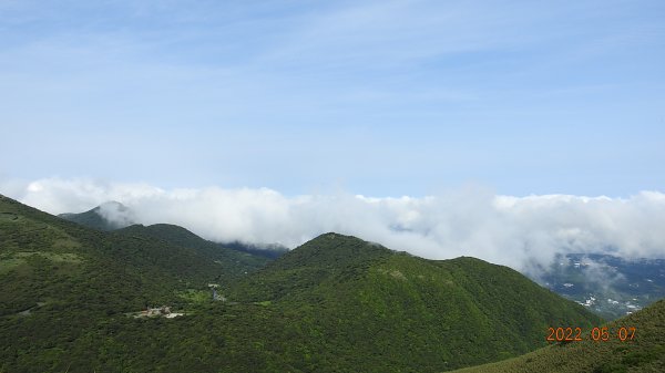 雲山水花鳥蝶 - 天龍國阿伯的日常5/71704453