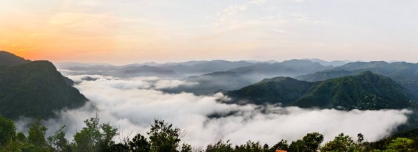 翡翠水庫壩頂 #火燒雲雲海 #日出雲海 #鱷魚島 #藍腹鷴 4/292772693