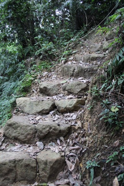 淡蘭南路獵狸尖步道1002667