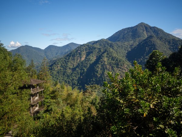 鳳凰谷鳥園2961128