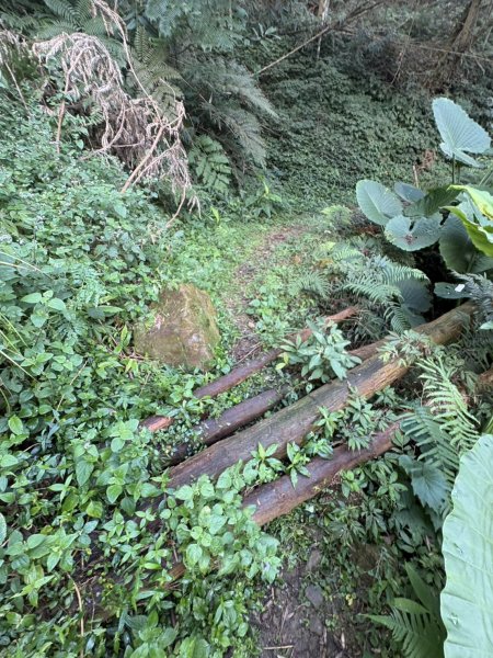 20251122大湖尖山步道(啟登直上第三涼亭)2944520