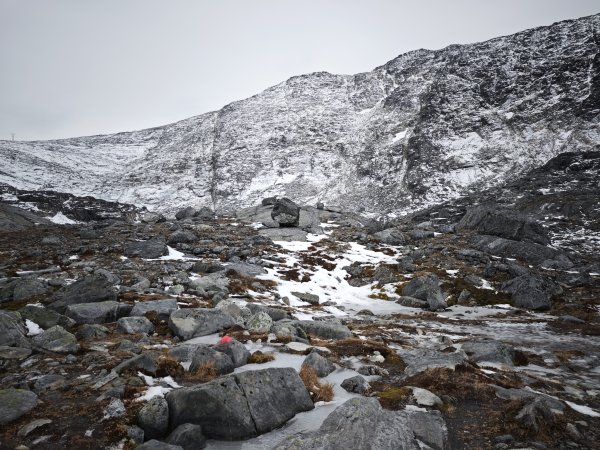 [紐約馬之行-46] 2025_1108 努克環狀步道 3/52951361