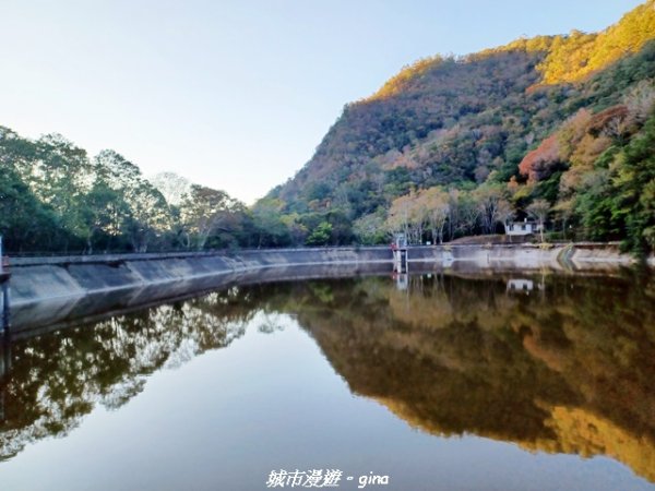 【南投仁愛】光影下的森林療育。 奧萬大國家森林遊樂區步道群2973136