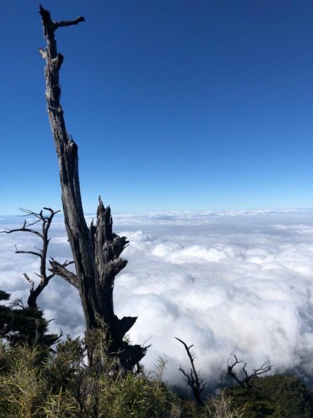 我的第一座百岳⋯北大武單攻502809