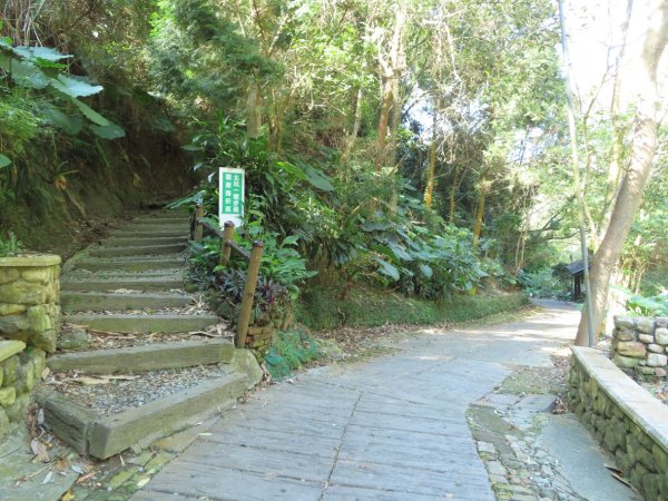 豐原三崁頂健康步道3上2下O形2696131