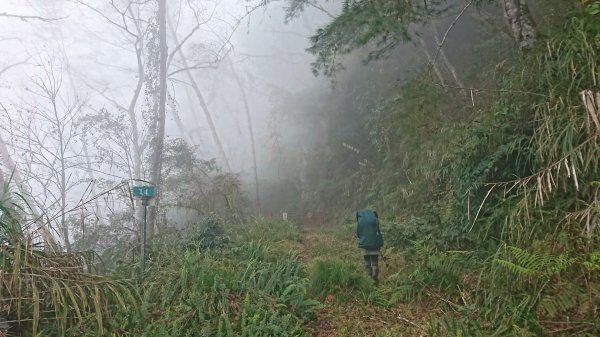 20250125 伊加之蕃-卑南東稜2715135