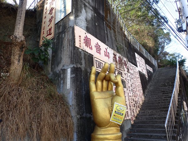 大坑頭嵙山(小百岳)、南觀音山(小百岳)封面