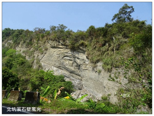 霧峰/桐林里登山步道920487