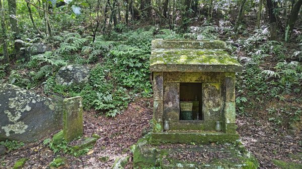 楊廷理古道2814607