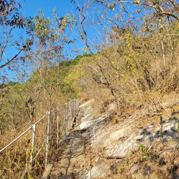 烏山嶺水利古道2359134