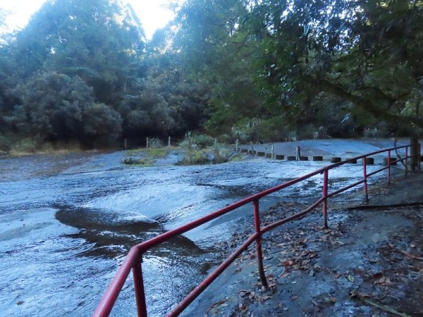 石夢谷 縱走 阿里山