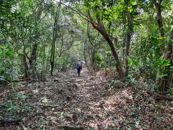 漫遊深坑秘境：大崎嶺步道、石觀音古道、南邦寮古道、石媽祖古道