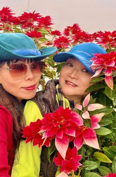 小百岳馬那邦山(H1407m)加碼採草莓2694726