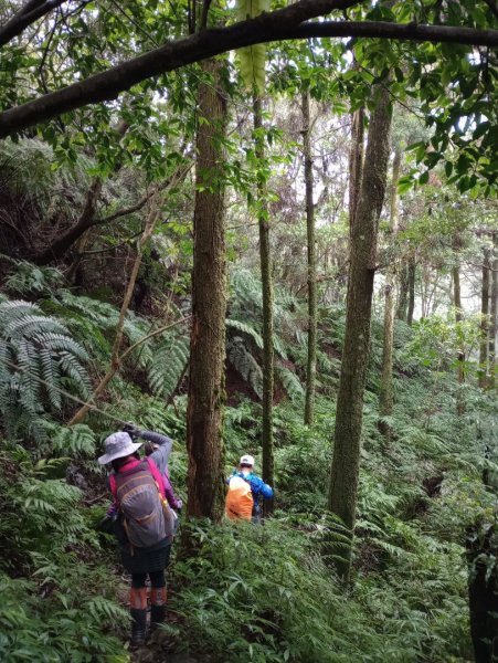 雷公埤山-鱷魚島觀景-小格頭獅頭山2001503