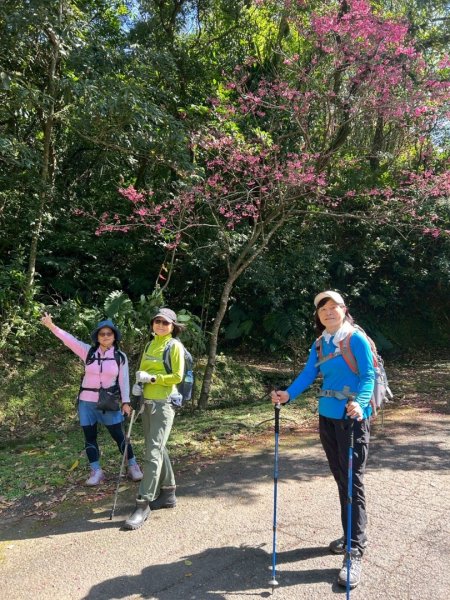 二格山走南邦寮山經草湳福德宮回二格公園3005536