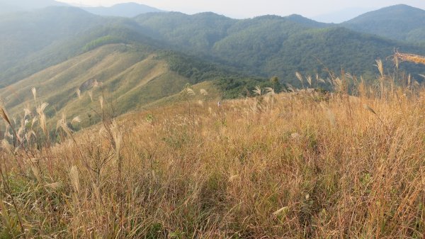 香港山系 － 九龍 • 新界934534