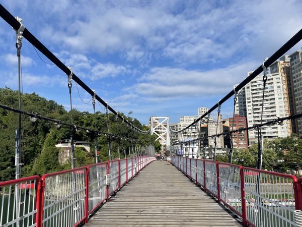 【二格山系】和美山螢火蟲2852552