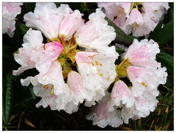 合歡石門山步道907857