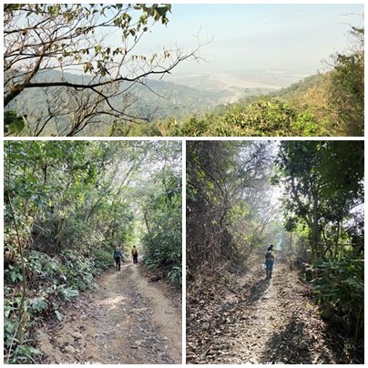 【屏東來義】小百岳棚集山x棚集下山O 繞3013081
