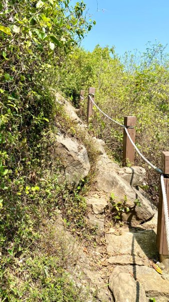 龍麟山登山步道2730763