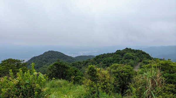 四分尾山,勤進路2515128