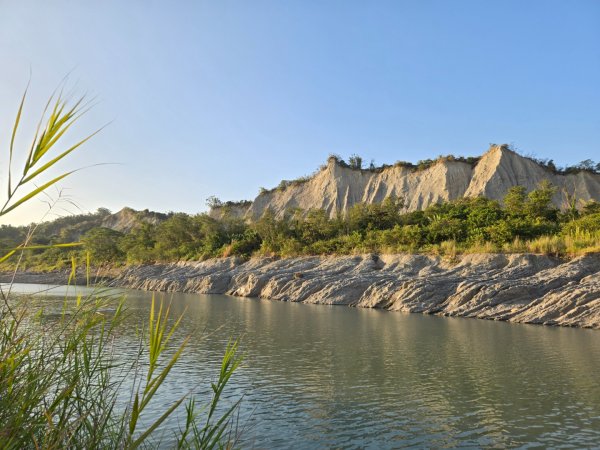 2025-12-11 大內風之谷2959489