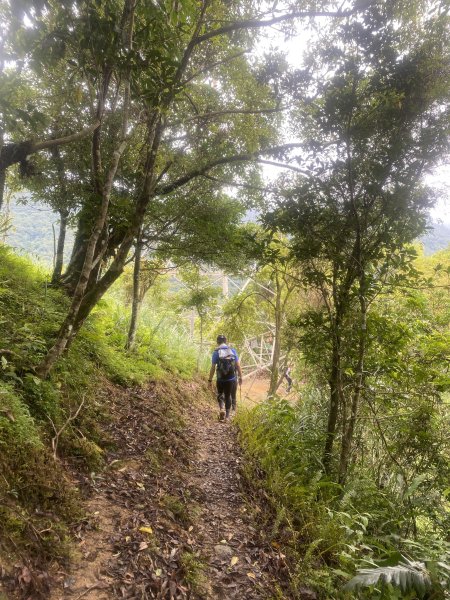 【淡蘭古道尋寶任務】淡蘭南路第四段｜𩻸魚堀溪自行車道至縣界公園2926420