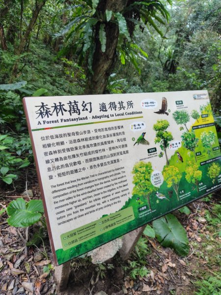 渭水之丘 烘爐地山 抹茶山 三角崙山2938824