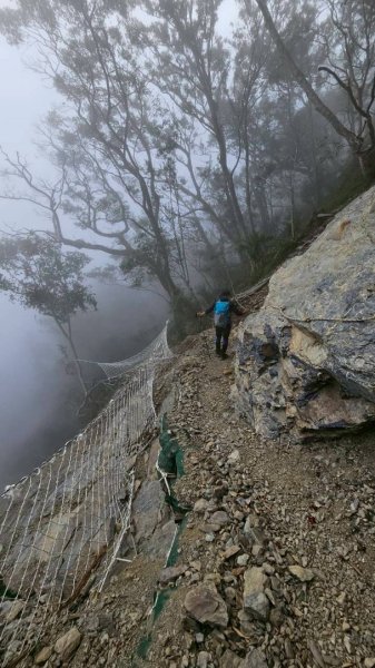20251106北大武山步道☁️ 喜多麗雲海2931348