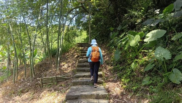 (姨婆趴趴走)第五十三集:台北內湖三山（白鷺鷥山、康樂山、明舉山）連走2774603