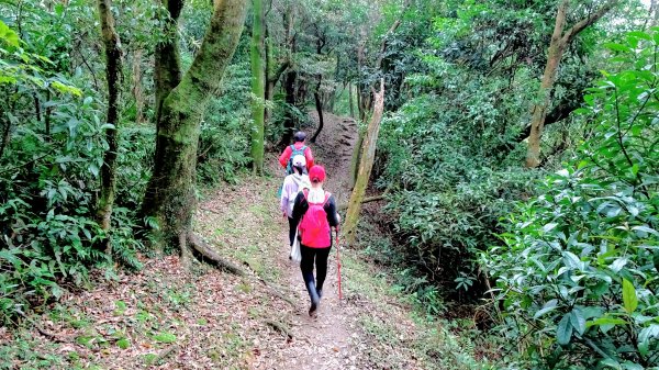 大尖山,四分尾山,勤進路1630941