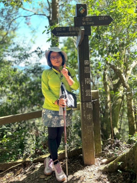 九穹神木 左訪嘉南雲峰 右到好望角看風景上石壁山(小百岳#55)2944817