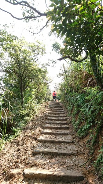 姜子寮山步道&姜子寮絕壁步道549624