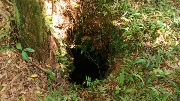 坪林區金瓜寮土地公-火炎山東峰-火炎山-火炎山南峰-金瓜寮土地公O型3138295