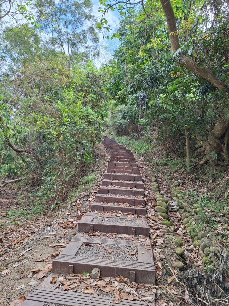 南化鈺鼎步道上糖子恩山+北峰202503152736890