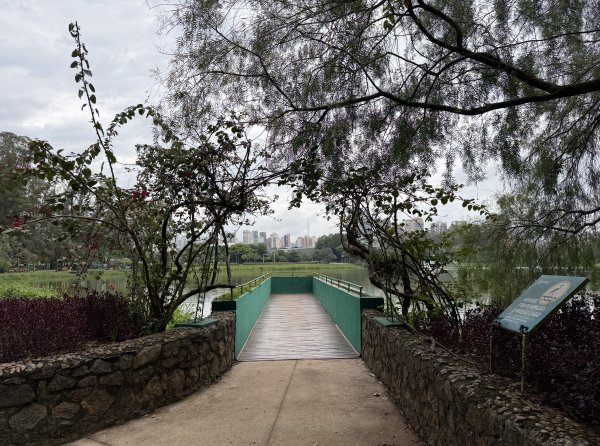 [紐約馬之行-68] 2025_1116 伊比拉布埃拉公園-中2955127