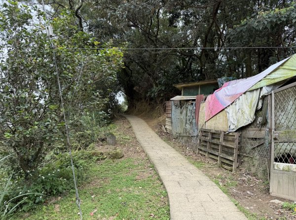 [微笑山線_第四段] 2026_0321 天上山系_石門內尖山東峰3021308