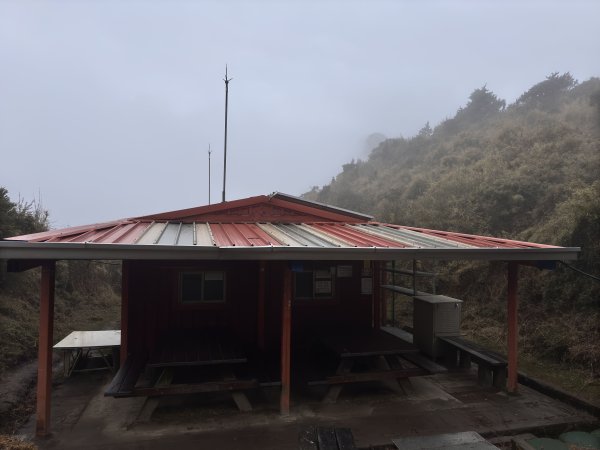 20250110 庫哈諾辛山(進涇橋登山口)2686262