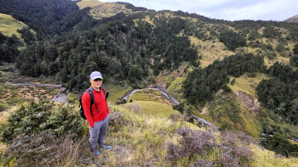貼近山林來走個稍微不一樣風景的合歡山2989393