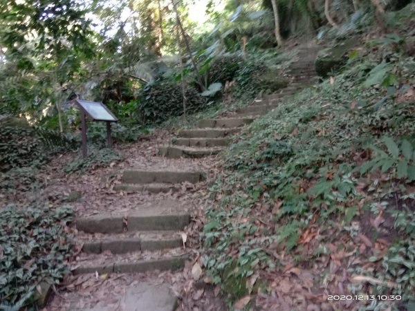  步道巡訪員 l 崁頭山步道12月份巡禮1204904