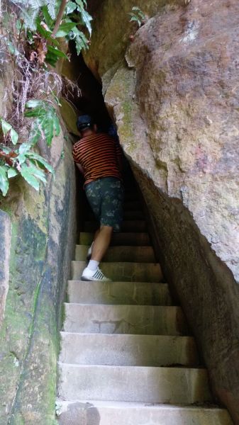 圓通寺登山步道354744