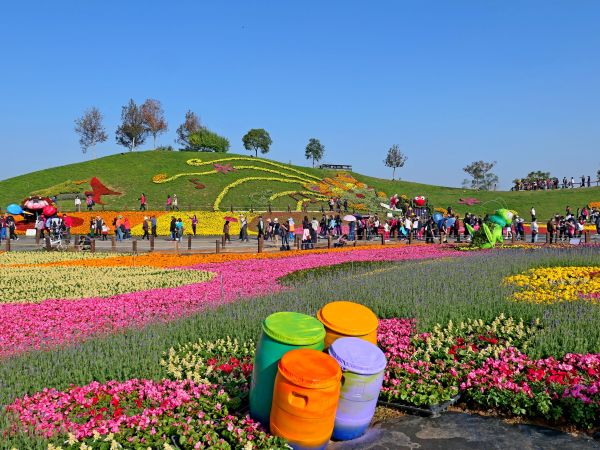 2017台中國際花毯節楓仔林草嶺觀景步道231027