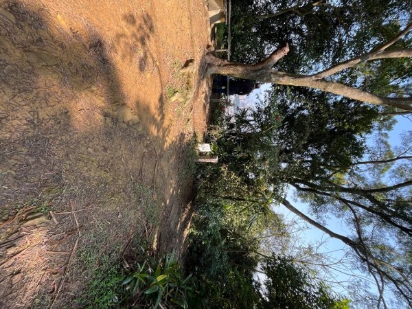 20250229_台北天際線第十段（中和-土城）2855545