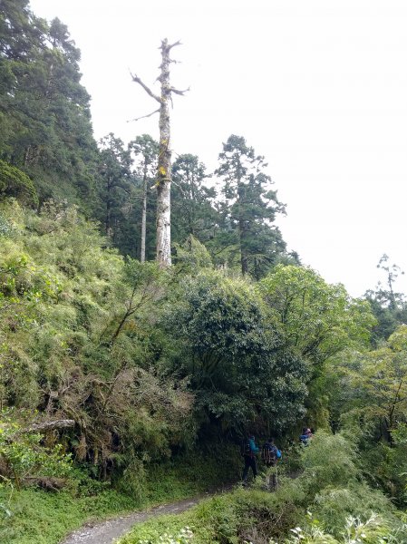 奇萊南華百岳之旅442420