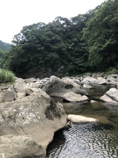 新北 坪林 灣潭古道1068540