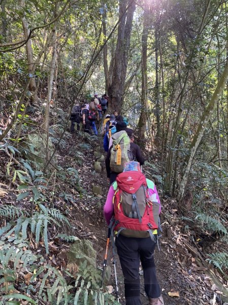 白毛山之高Cp值美景1520650